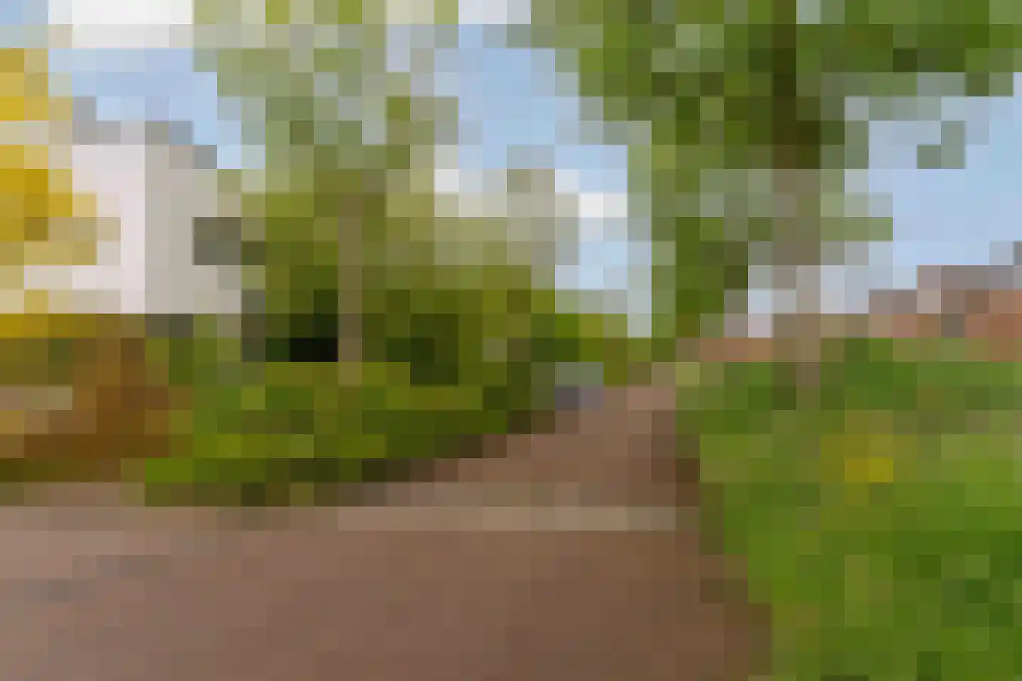 Bergvliet 7 Abcoude thumbnail 52