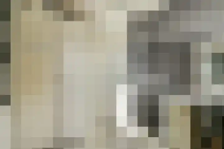 Bergvlietlaan 9 Haastrecht thumbnail 16