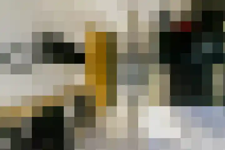 Bergvlietlaan 9 Haastrecht thumbnail 18
