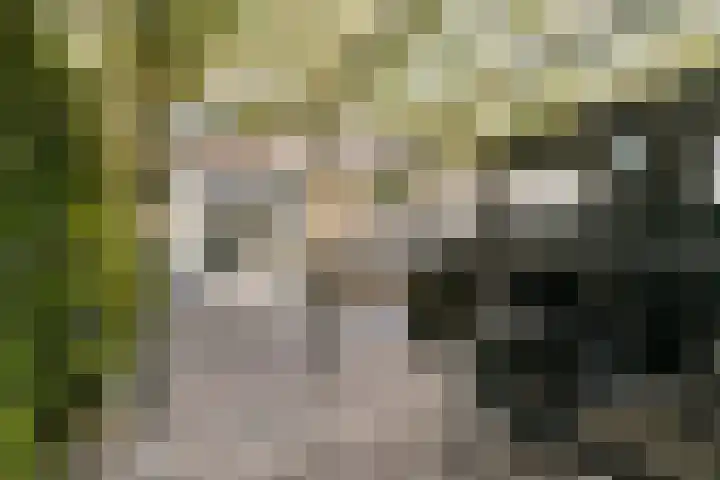 Bergvlietlaan 9 Haastrecht thumbnail 23
