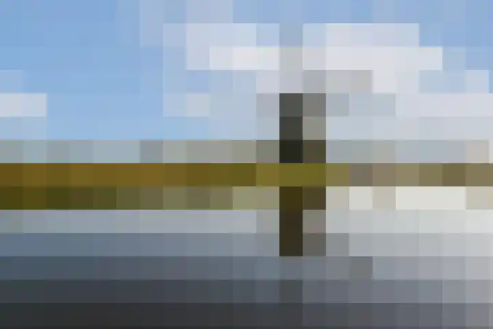 Bergvlietlaan 9 Haastrecht thumbnail 24