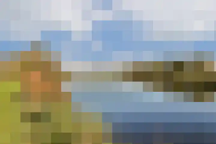 Bergvlietlaan 9 Haastrecht thumbnail 25