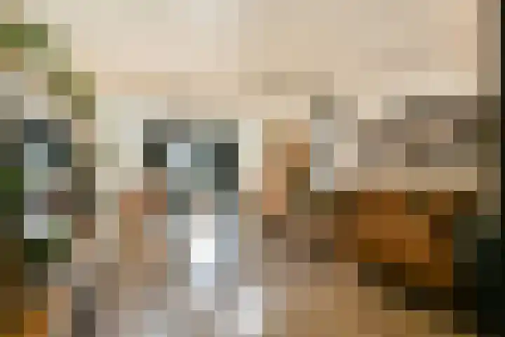 Bergvlietlaan 9 Haastrecht thumbnail 6