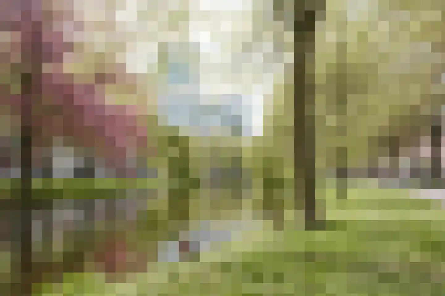 Bergweg 104 D Rotterdam thumbnail 36