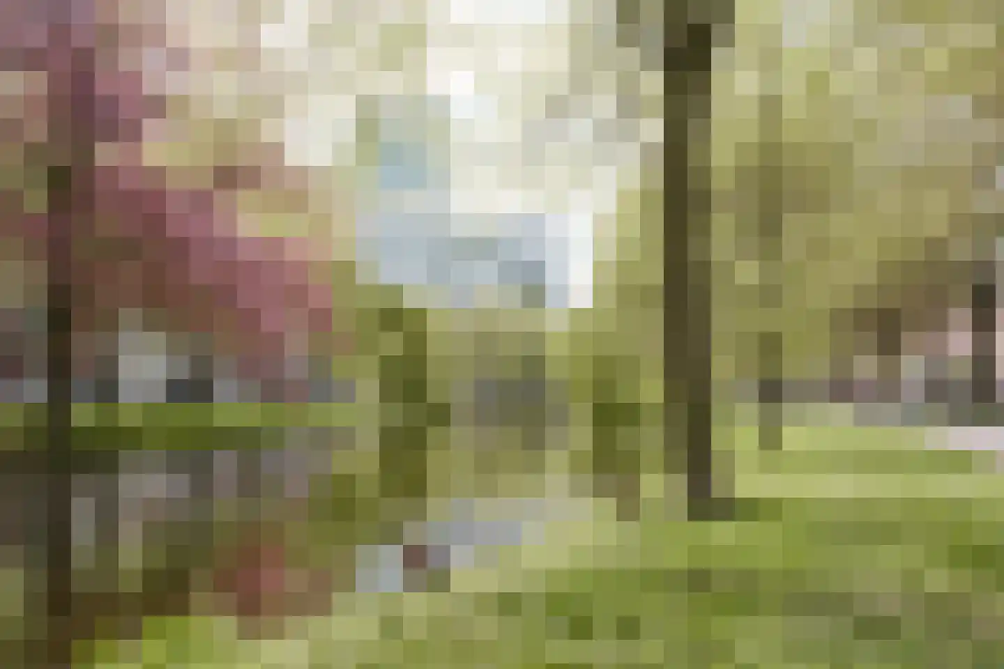 Bergweg 104 D Rotterdam thumbnail 42