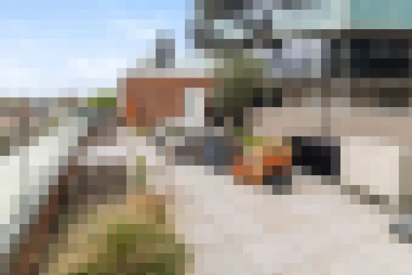Bergweg 106 E Rotterdam thumbnail 32