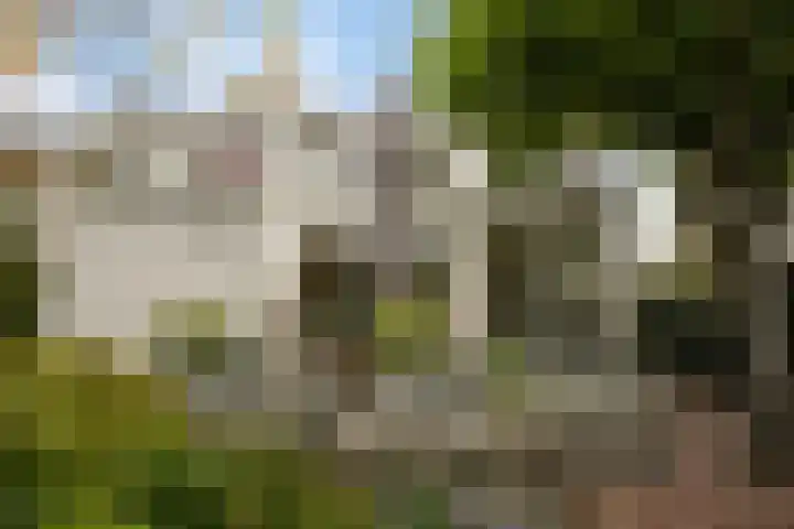 Bergweg 11 Maastricht thumbnail 33