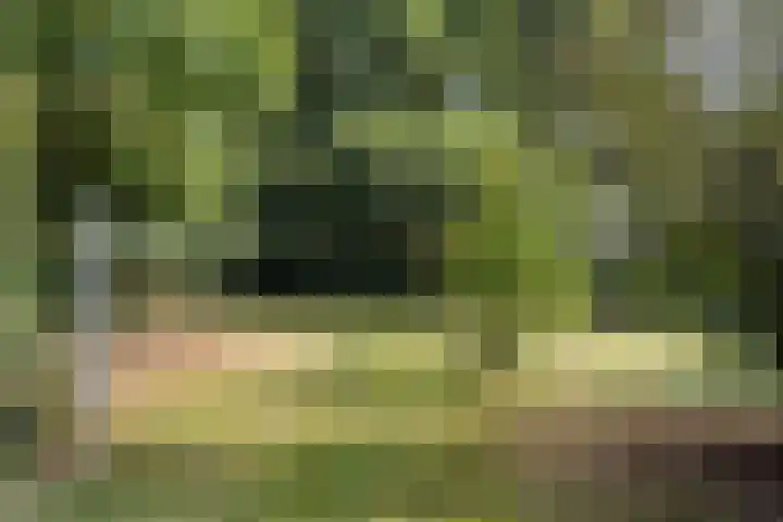 Bergweg 12 Lemele thumbnail 23