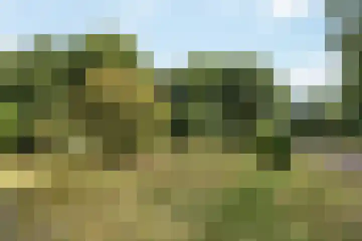 Bergweg 12 Lemele thumbnail 24