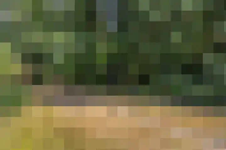 Bergweg 12 Lemele thumbnail 26
