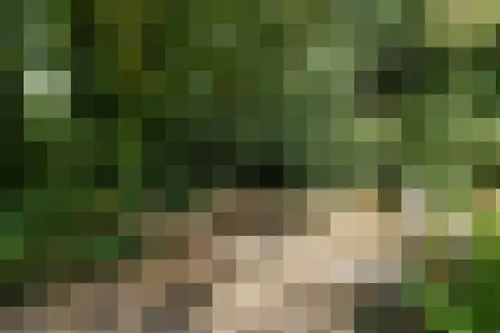 Bergweg 12 Lemele thumbnail 27