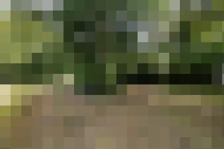 Bergweg 12 Lemele thumbnail 28