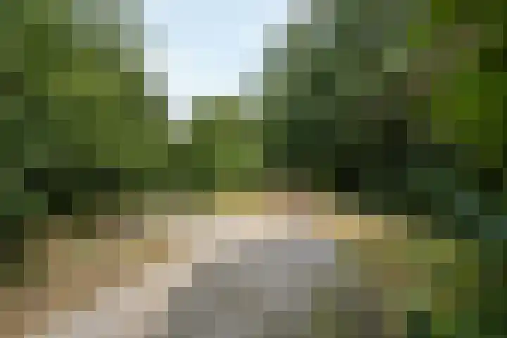 Bergweg 12 Lemele thumbnail 29
