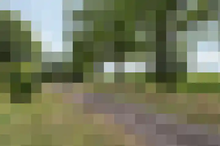 Bergweg 12 Lemele thumbnail 4