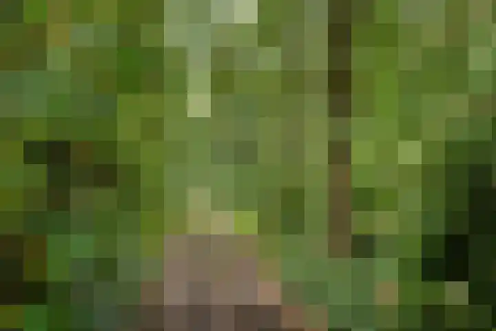 Bergweg 12 Lemele thumbnail 5