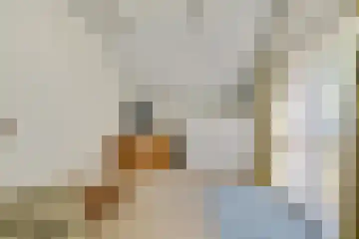 Bergweg 12 Lemele thumbnail 9
