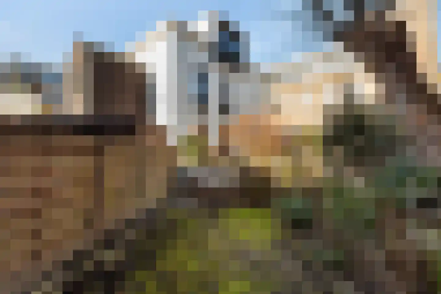 Bergweg 143 B Rotterdam thumbnail 25