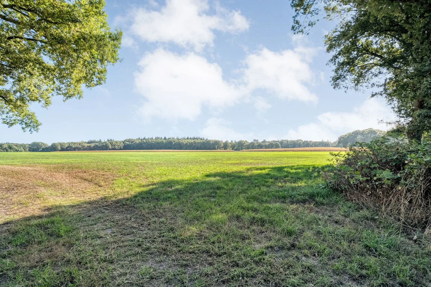 Bergweg 15 Ommen thumbnail 102