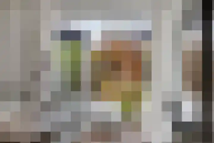 Bergweg 15 Zwolle thumbnail 10