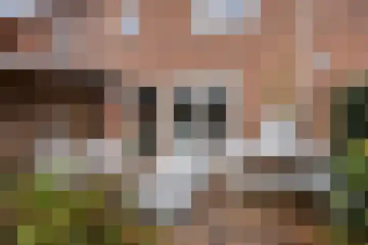 Bergweg 15 Zwolle thumbnail 32