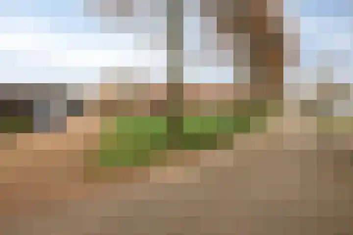 Bergweg 15 Zwolle thumbnail 34