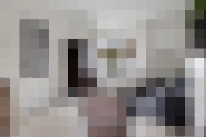 Bergweg 15 Zwolle thumbnail 5