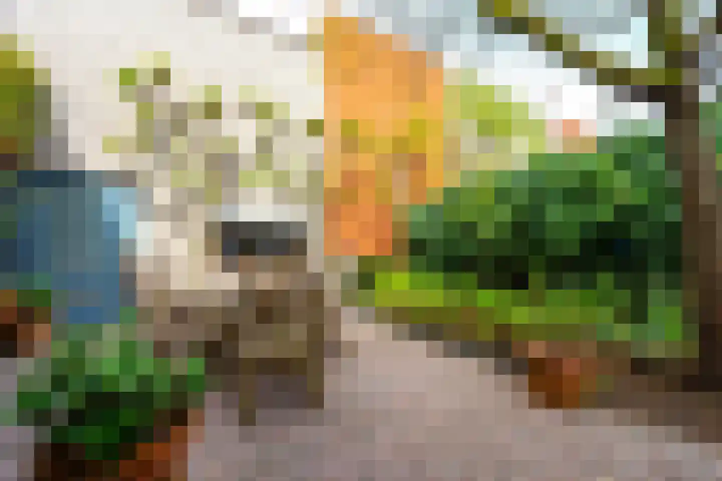 Bergweg 153 Zeist thumbnail 38