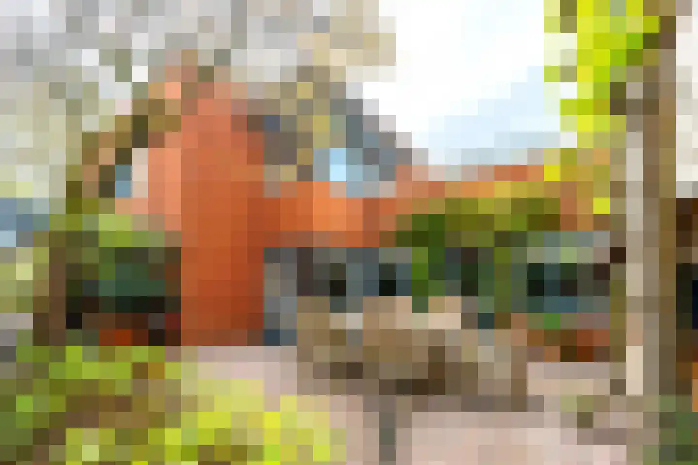 Bergweg 153 Zeist thumbnail 39