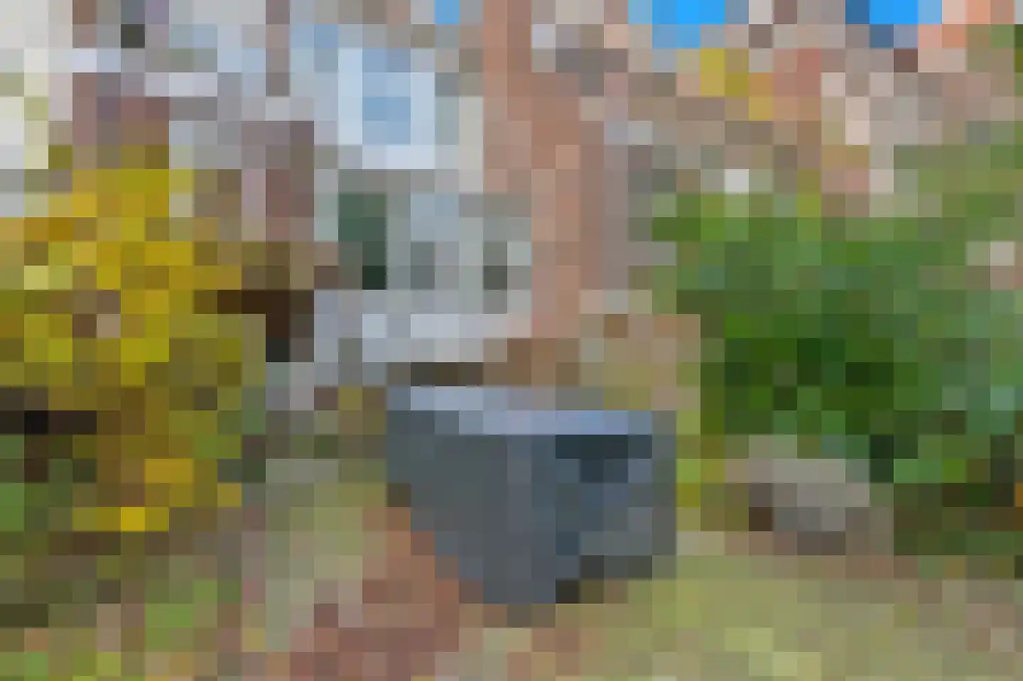 Bergweg 158 B Rotterdam thumbnail 24