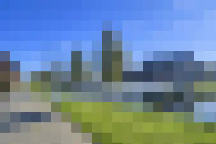 Bergweg 17 Middelharnis thumbnail 17