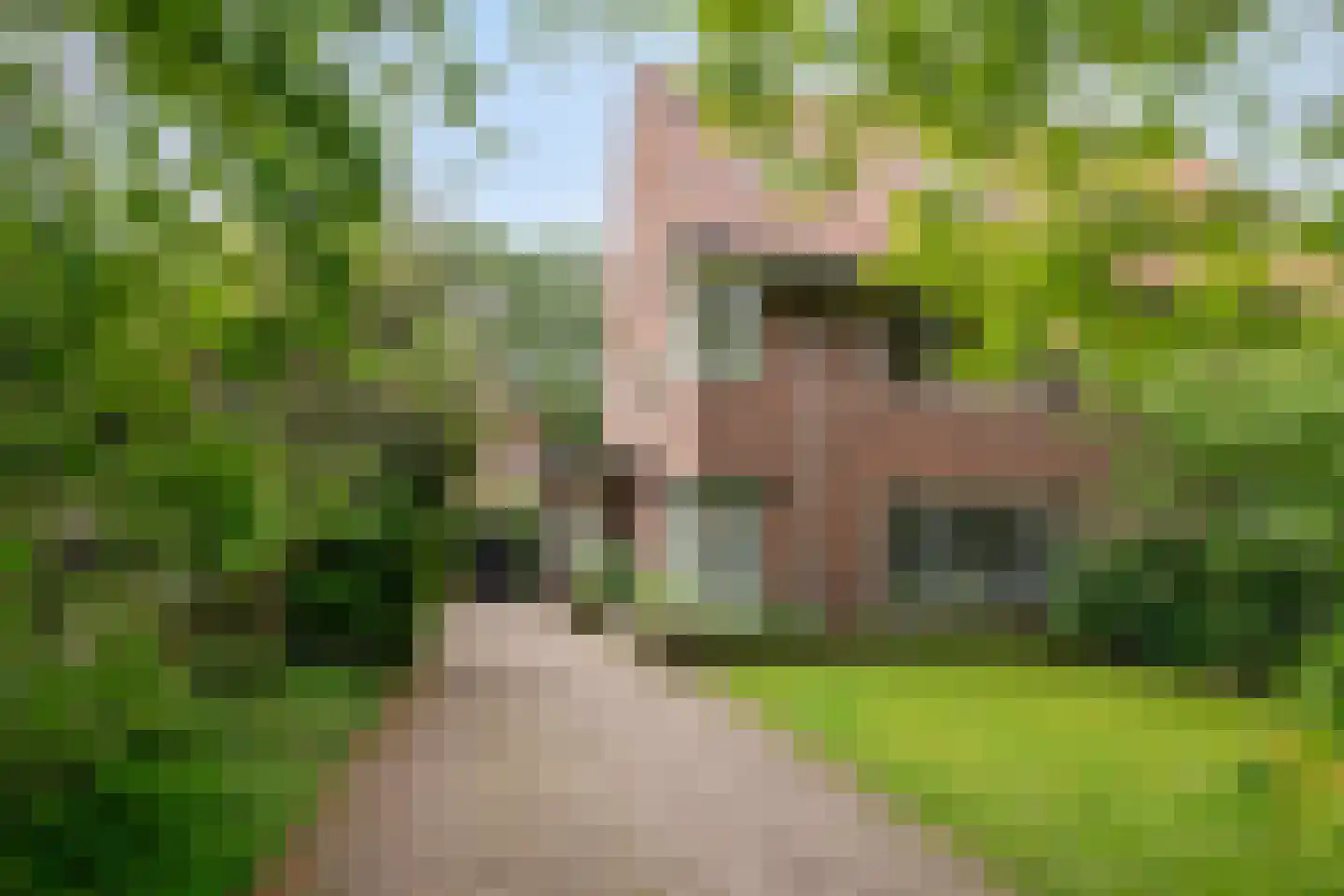 Bergweg 186 in Zeist