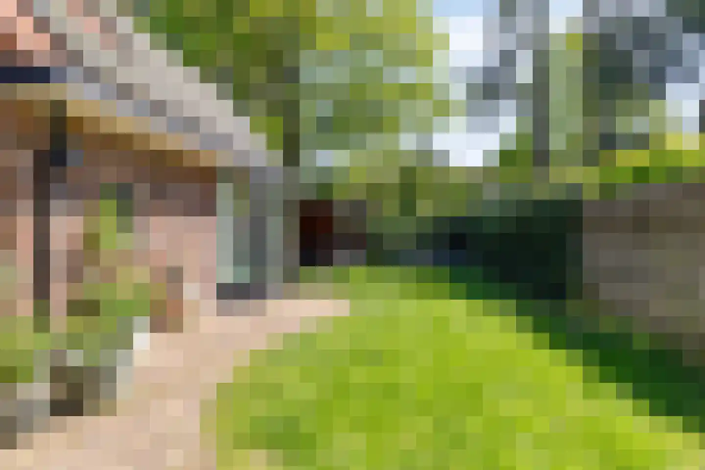 Bergweg 186 Zeist thumbnail 39