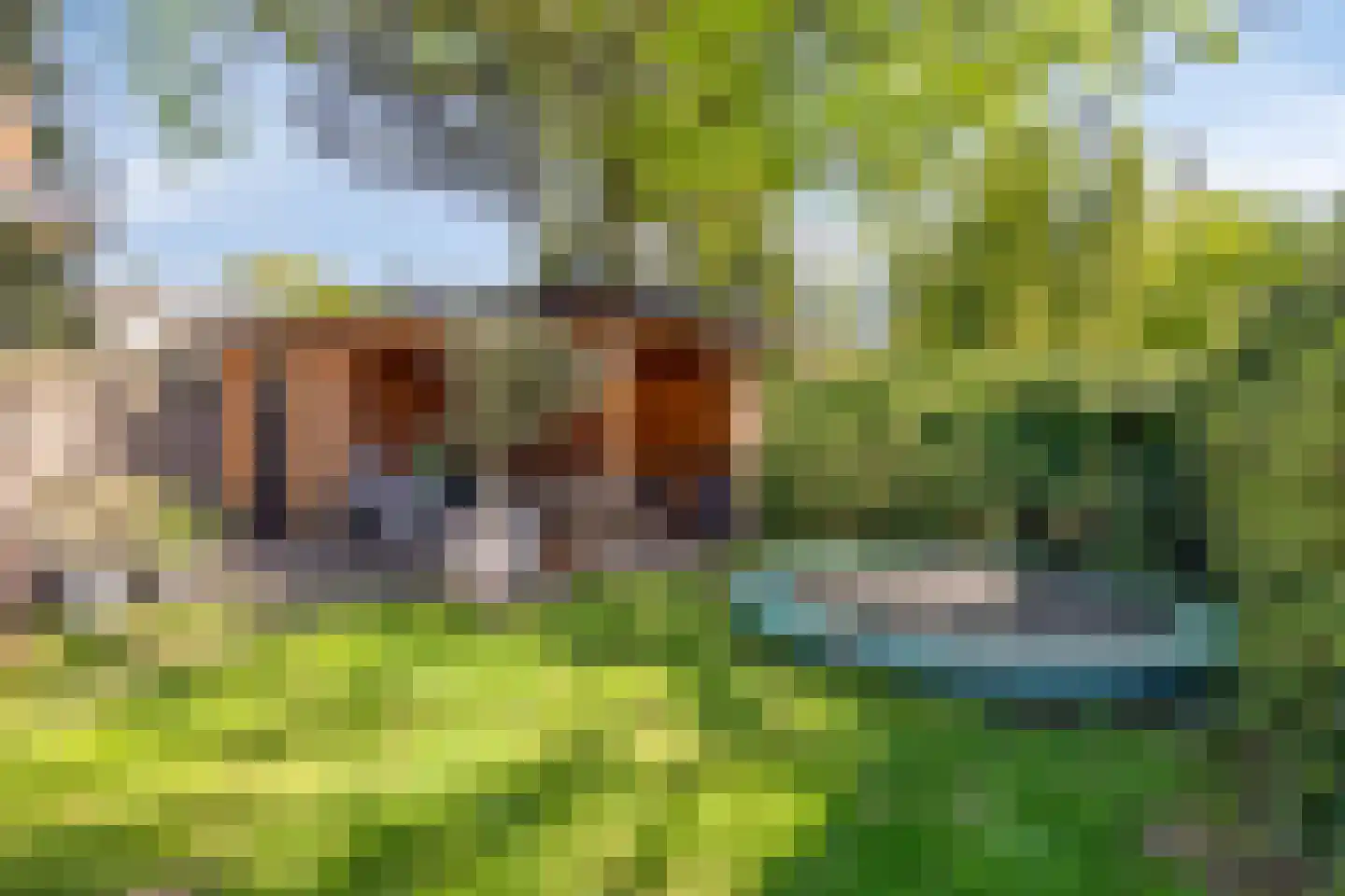 Bergweg 186 Zeist thumbnail 40
