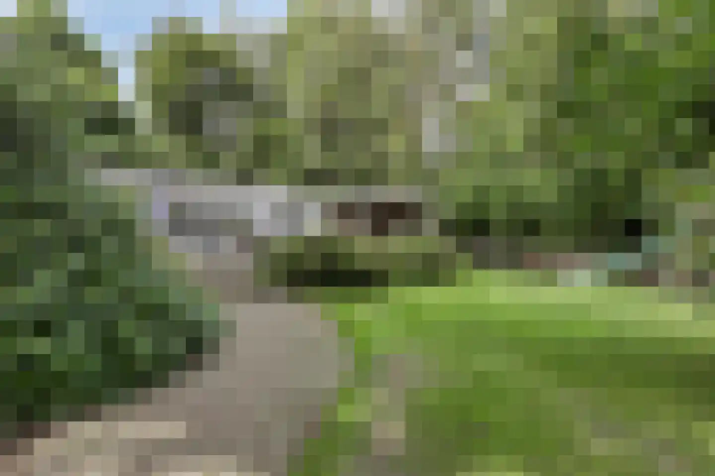Bergweg 19 A Rhenen thumbnail 45
