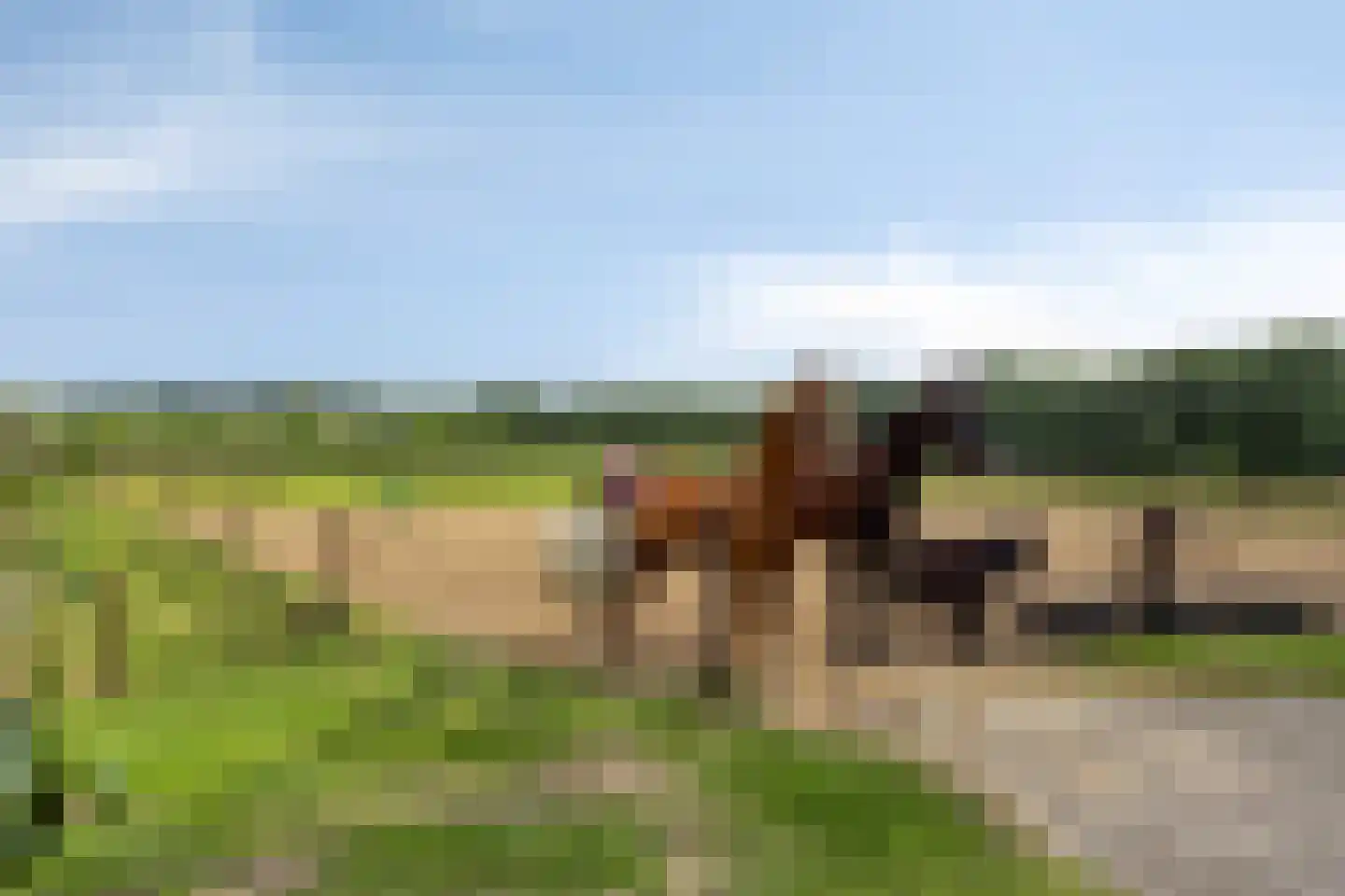 Bergweg 19 A Rhenen thumbnail 5