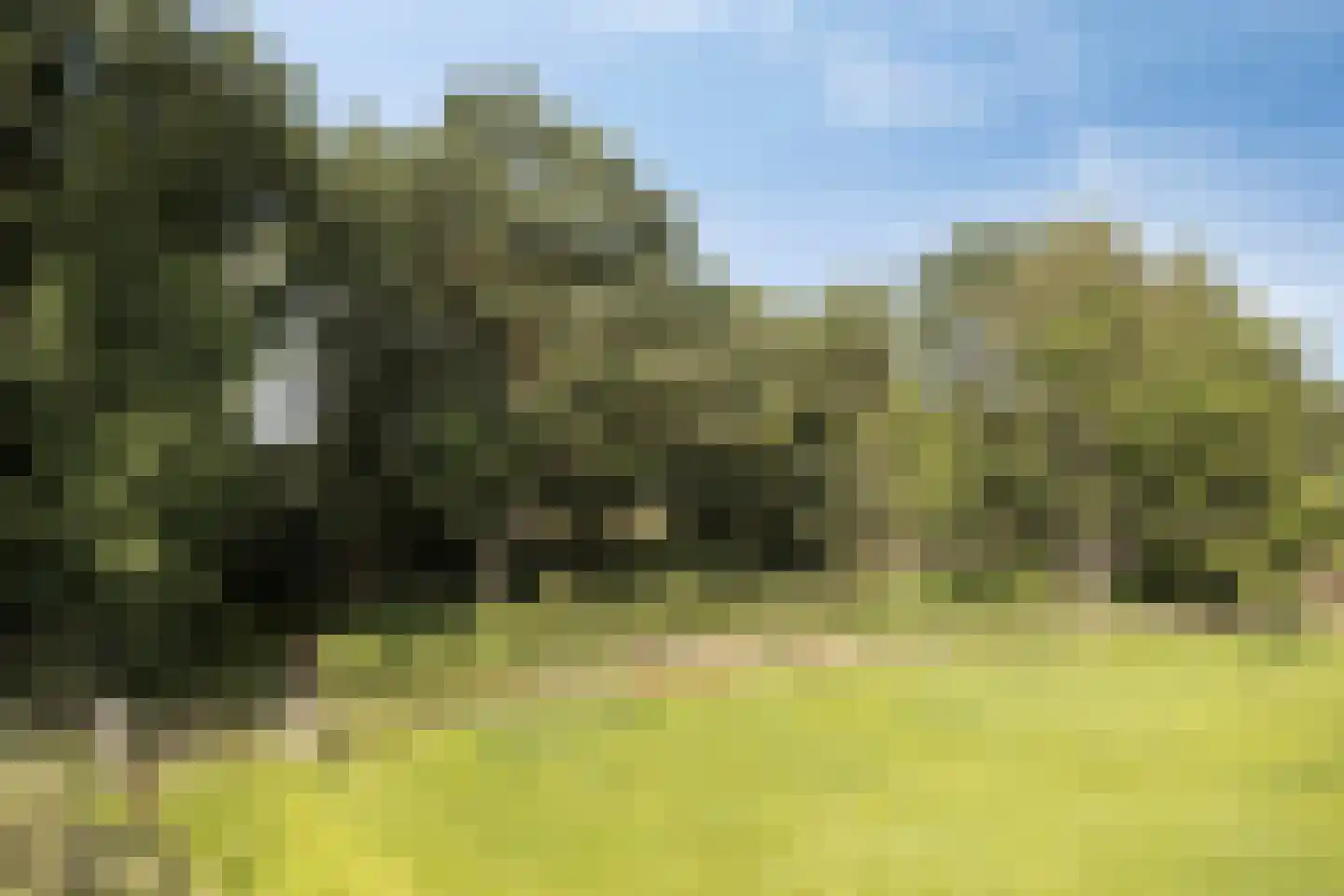 Bergweg 19 A Rhenen thumbnail 54
