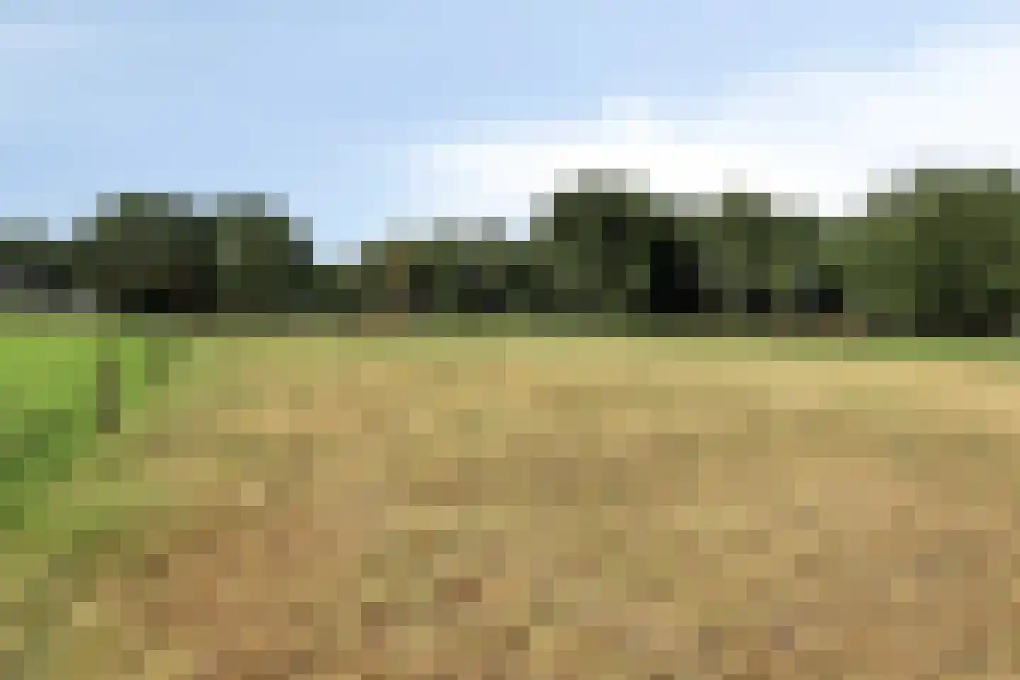 Bergweg 19 A Rhenen thumbnail 58