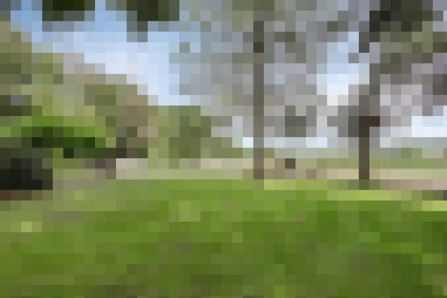 Bergweg 19 A Rhenen thumbnail 6