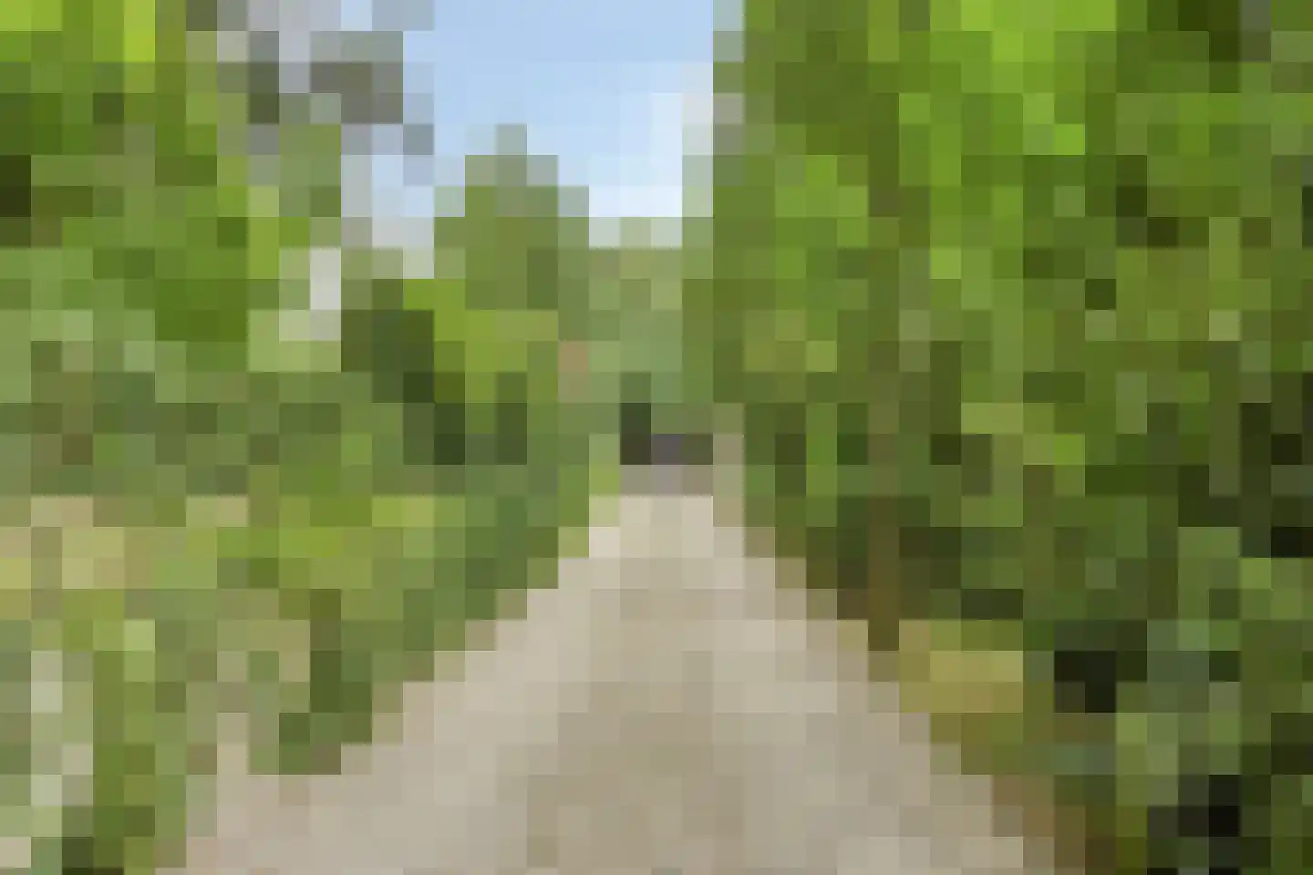 Bergweg 19 A Rhenen thumbnail 6