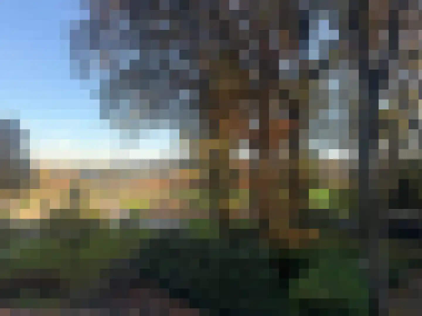 Bergweg 19 A Rhenen thumbnail 61
