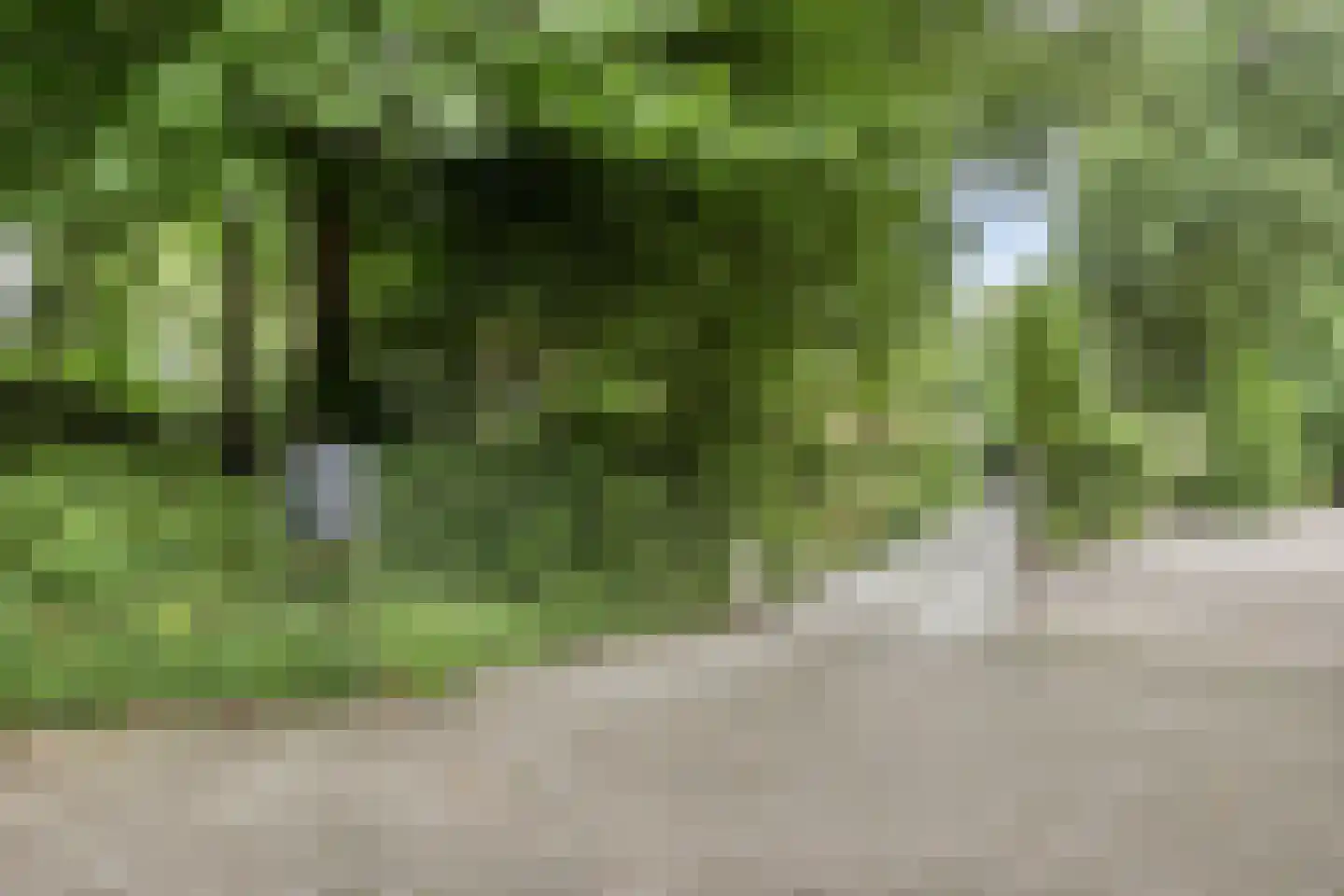 Bergweg 19 A Rhenen thumbnail 63
