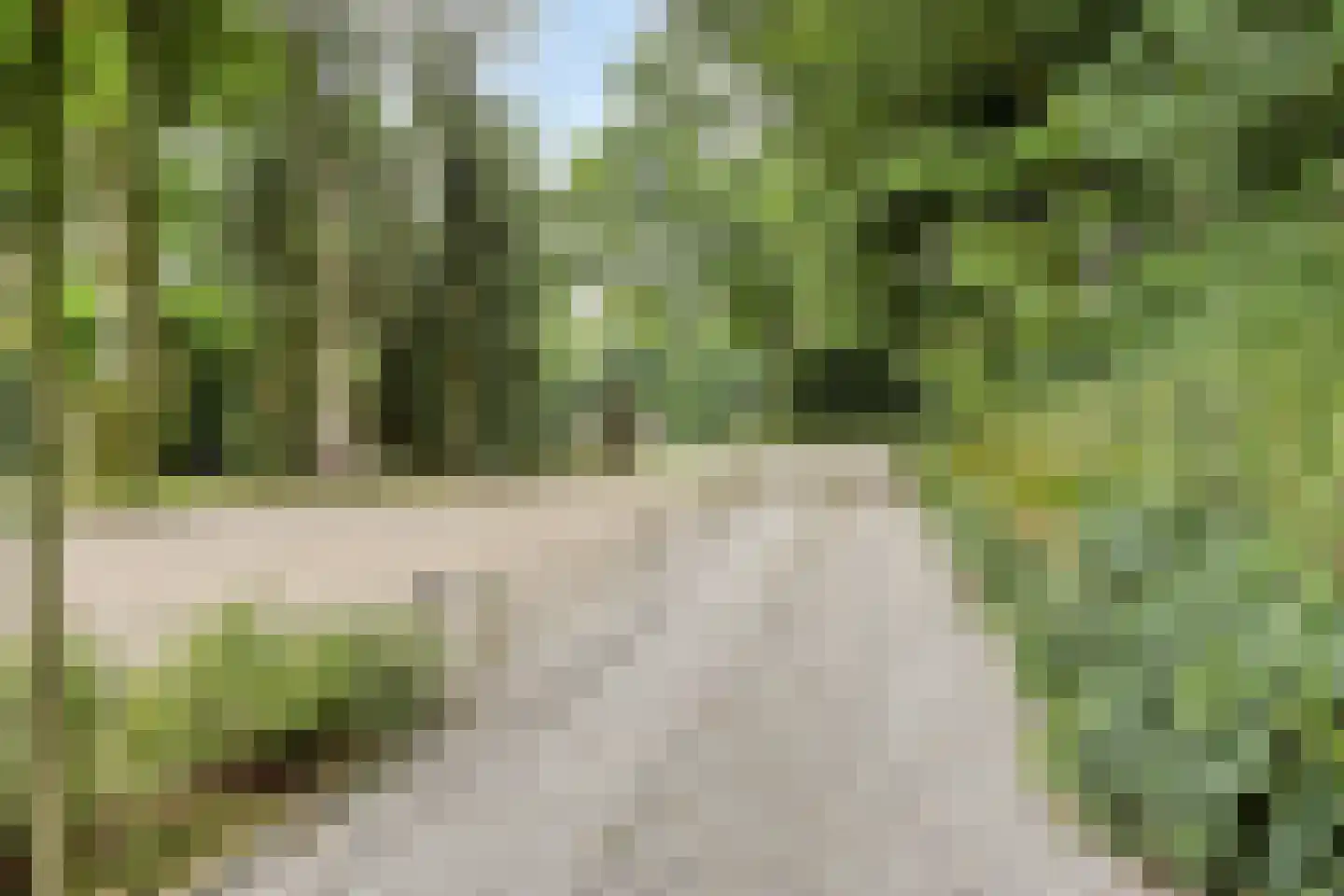 Bergweg 19 A Rhenen thumbnail 64