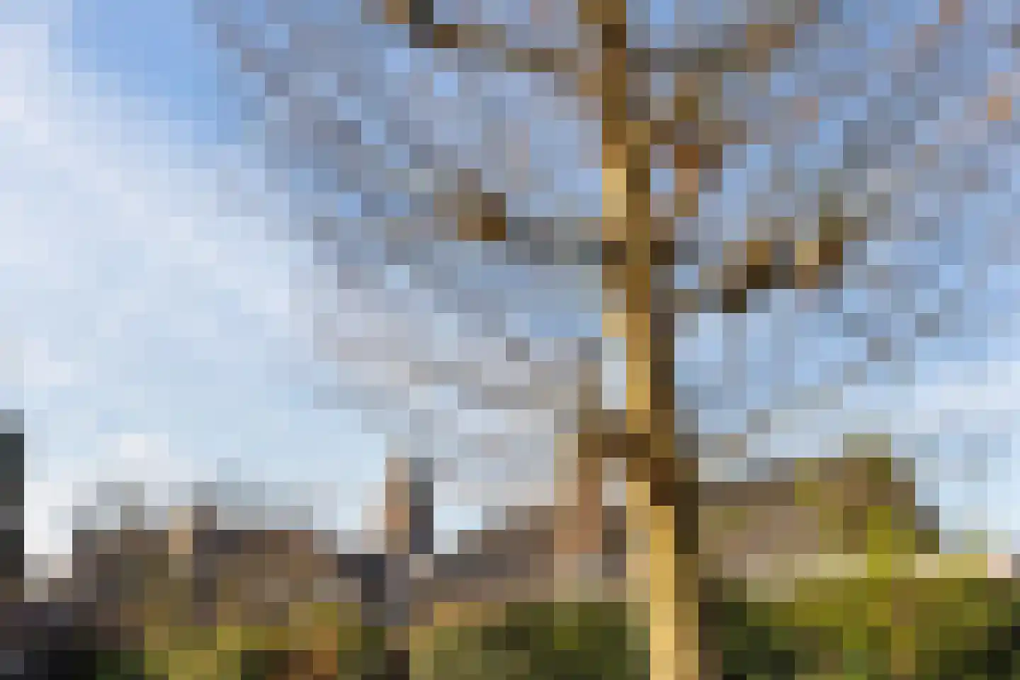 Bergweg 2 A Zeist thumbnail 9