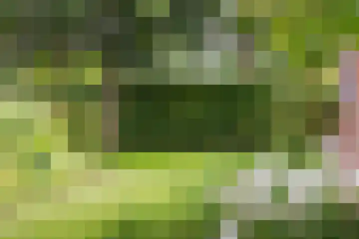 Bergweg 2 Lemelerveld thumbnail 36