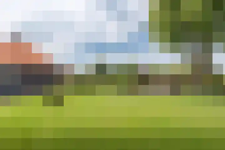 Bergweg 2 Lemelerveld thumbnail 39