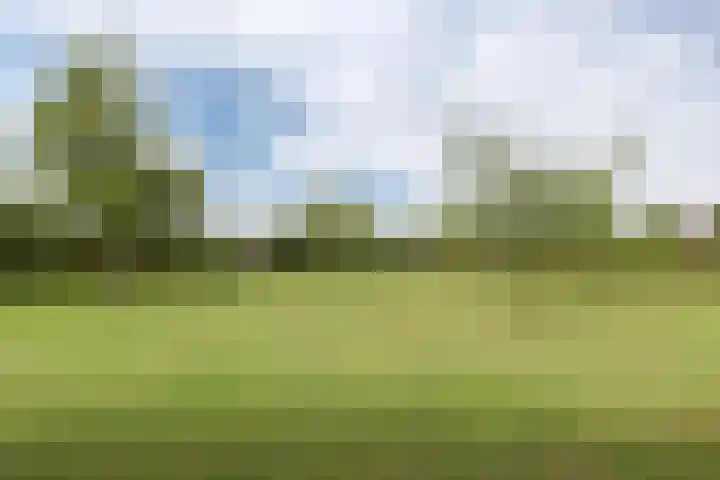 Bergweg 2 Lemelerveld thumbnail 45