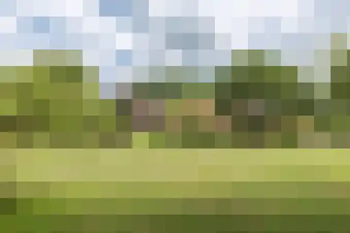Bergweg 2 Lemelerveld thumbnail 48