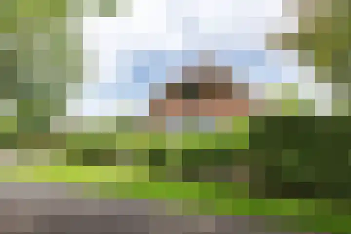 Bergweg 2 Lemelerveld thumbnail 5