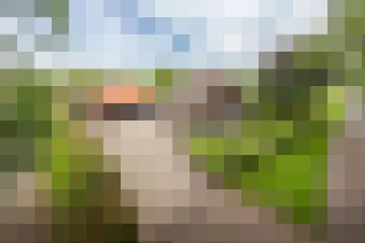 Bergweg 2 Lemelerveld thumbnail 52