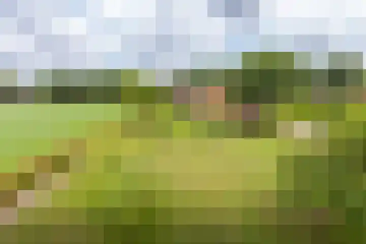 Bergweg 2 Lemelerveld thumbnail 53